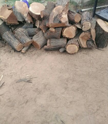 Mesquite wood pecan wood for Sale in Phoenix AZ - OfferUp