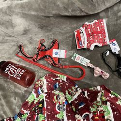 Everything Kitten Lot