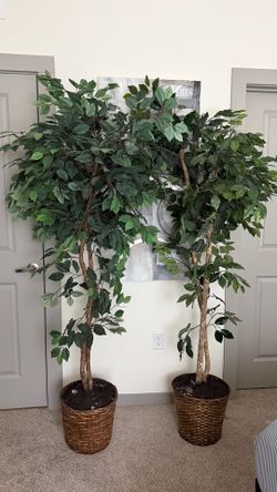 Two faux trees