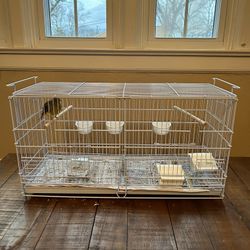 Birds and Cages for sale