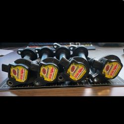 Mustang 5.0  performance Coils 