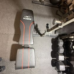 FLYBIRD Adjustable Bench