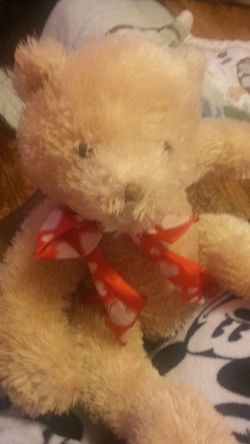 Teddy