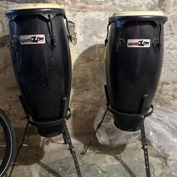 Professional Congas 