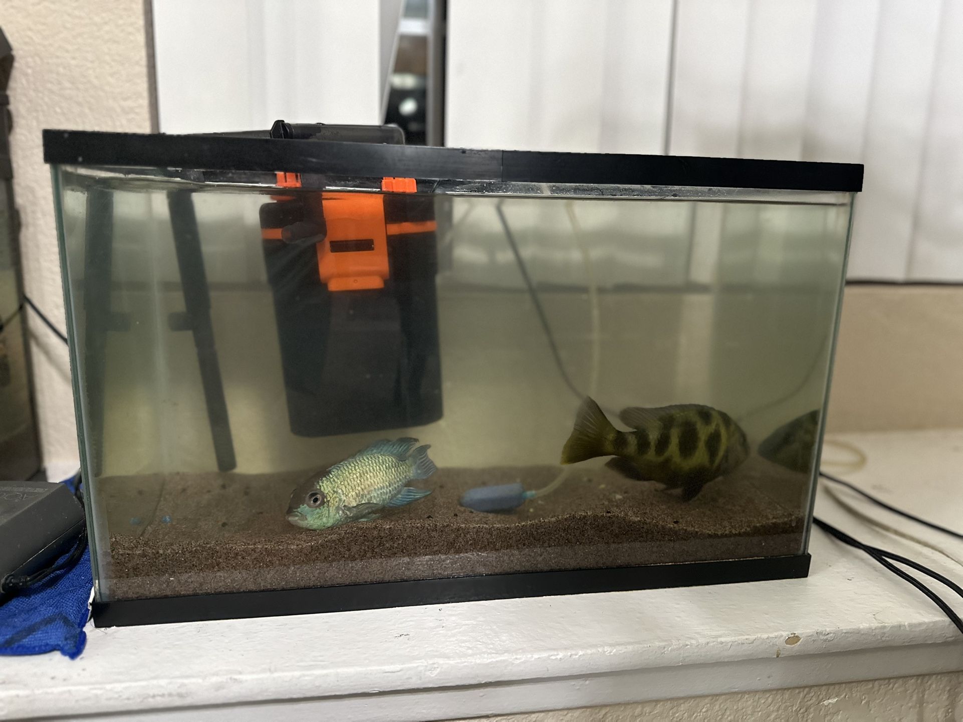 Fish Tank With Accessories