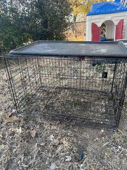 Big Dog Cage