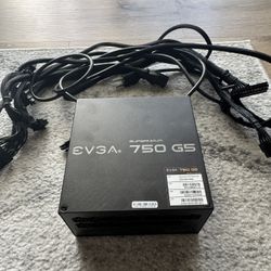 EVGA 750W Fully Modular PSU