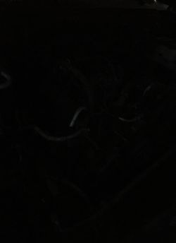 5.7 vortec and trany