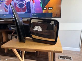 Ford F-150 passenger side mirror