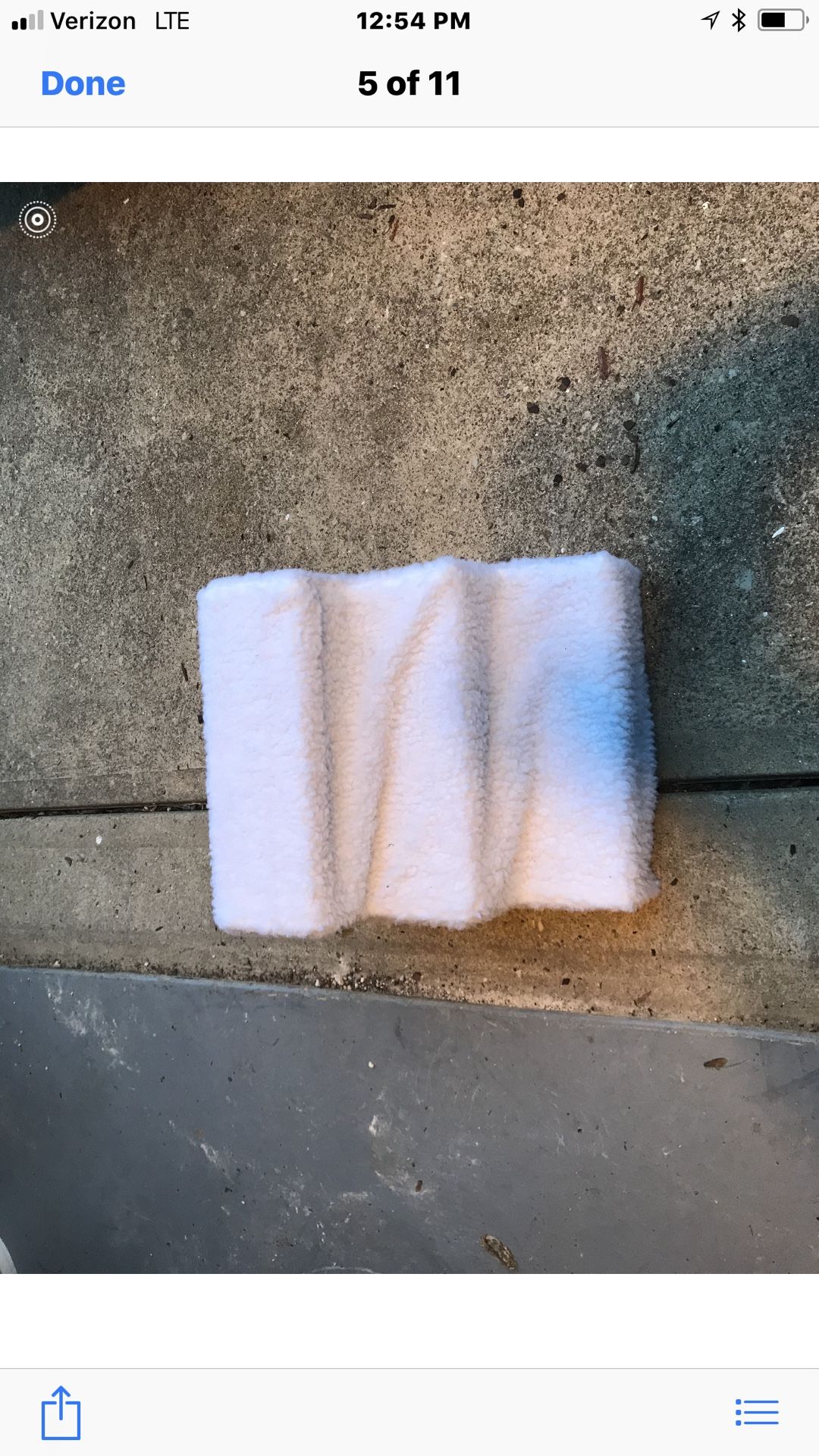 Dog steps