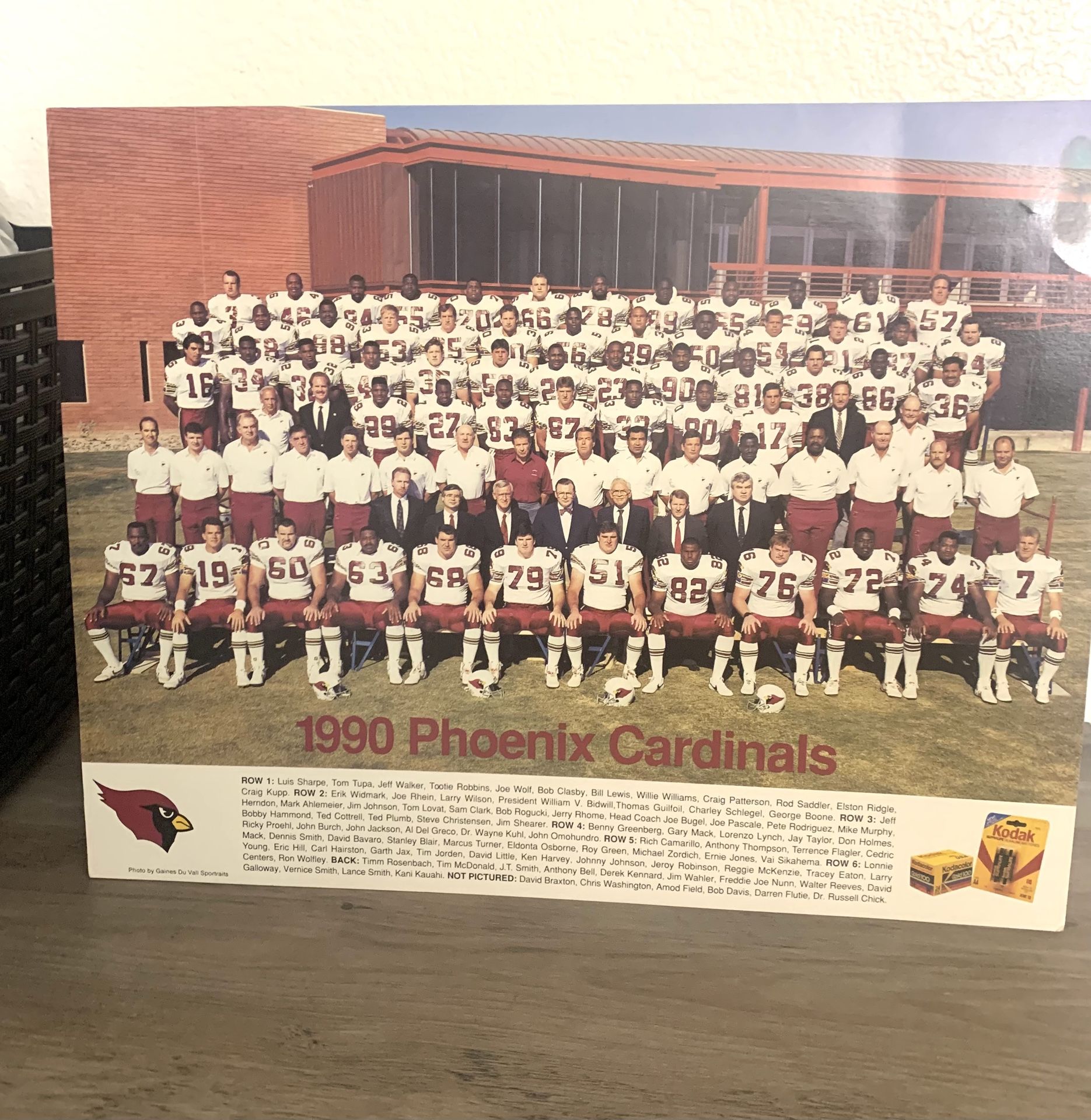 1990 ARIZONA CARDINALS TEAM PHOTO