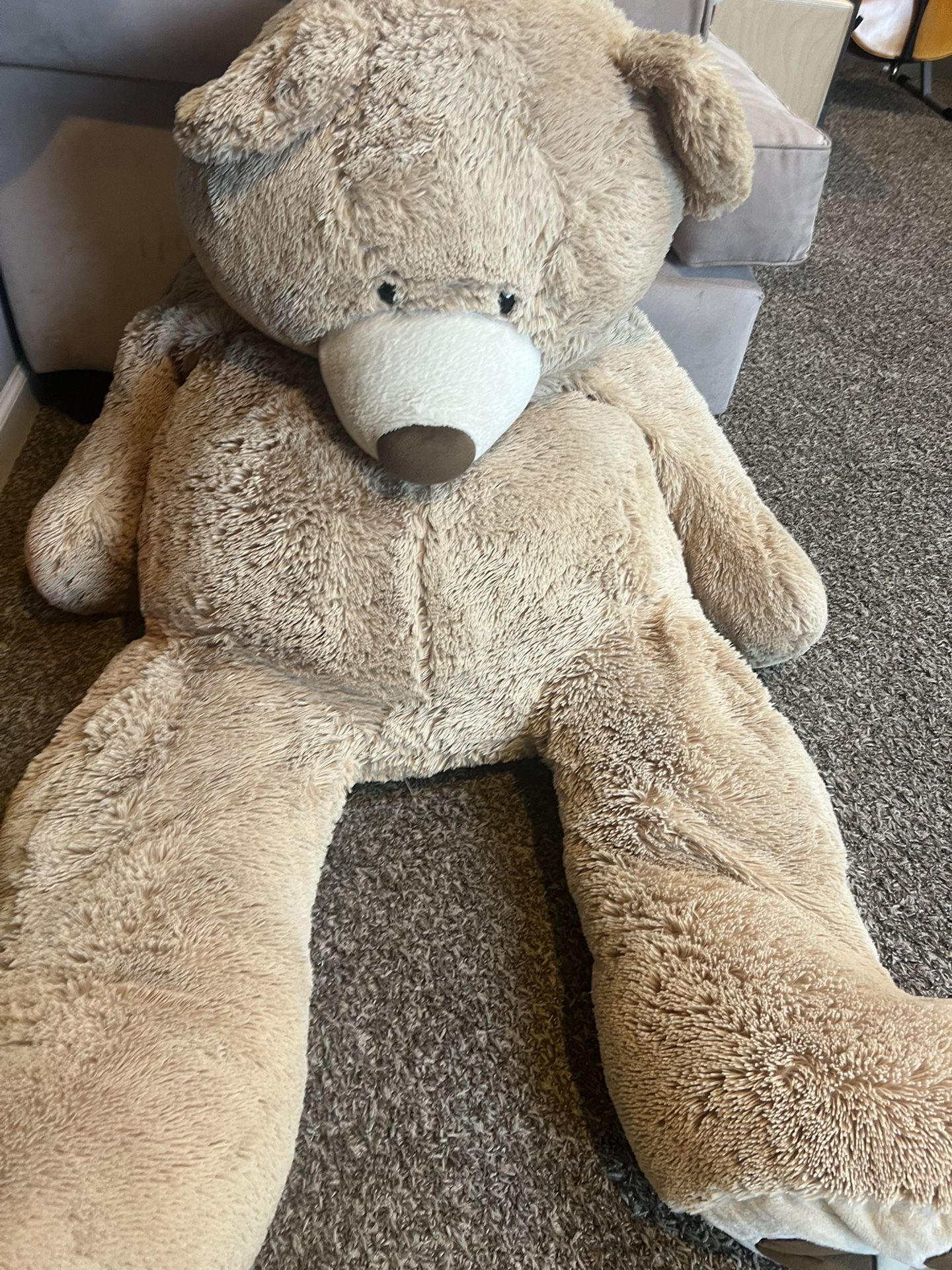Costco giant Bear 🐻