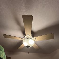 Celling Fan 