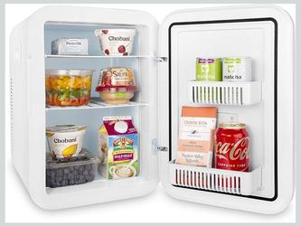 Mini Fridge with Temperature Control