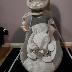 Ingenuity Baby Swing
