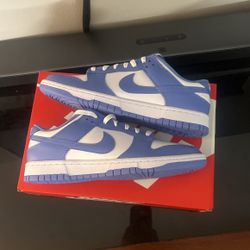 Nike Dunk polar blue