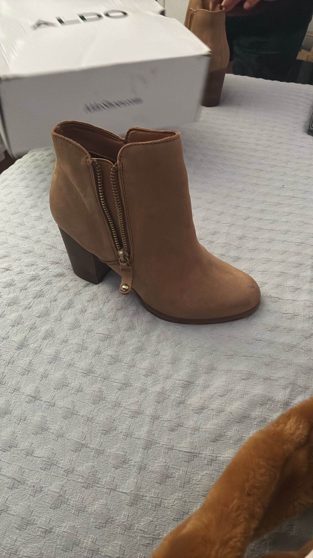 Aldo boots