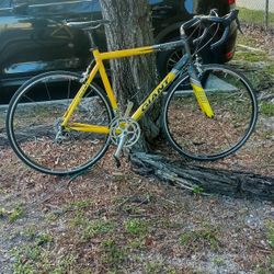 Giant TCR 2 Road Bike
