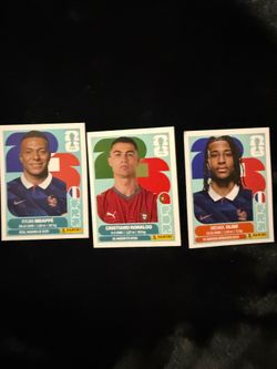 Panini stickers card