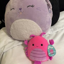Brand New Squishmallows (2) 