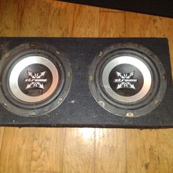 2 10" Subs in box