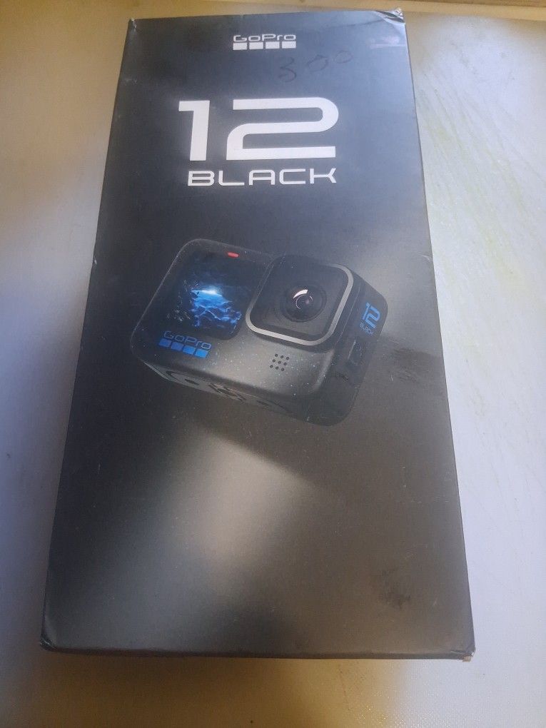 Go Pro 12 Black