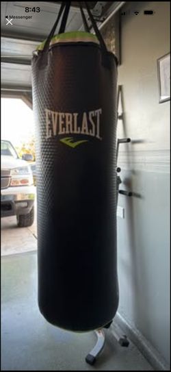 Everlast punching bag