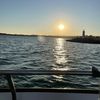 Theo Stanis