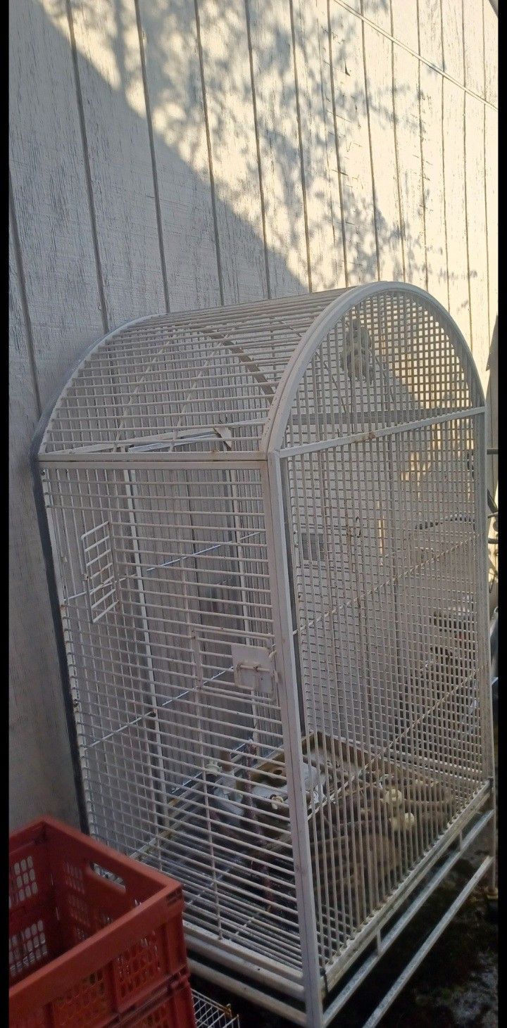 5' Bird Cage