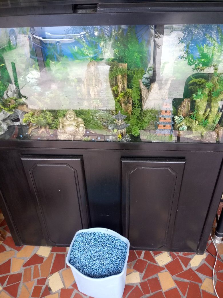 $250 Fish Tank with all extras