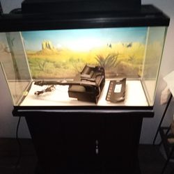 Tank With Top Light Filter And Wooden Stand