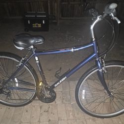 RALEIGH DETOUR 2.5 (Mens)