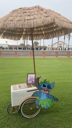 Paleta cart