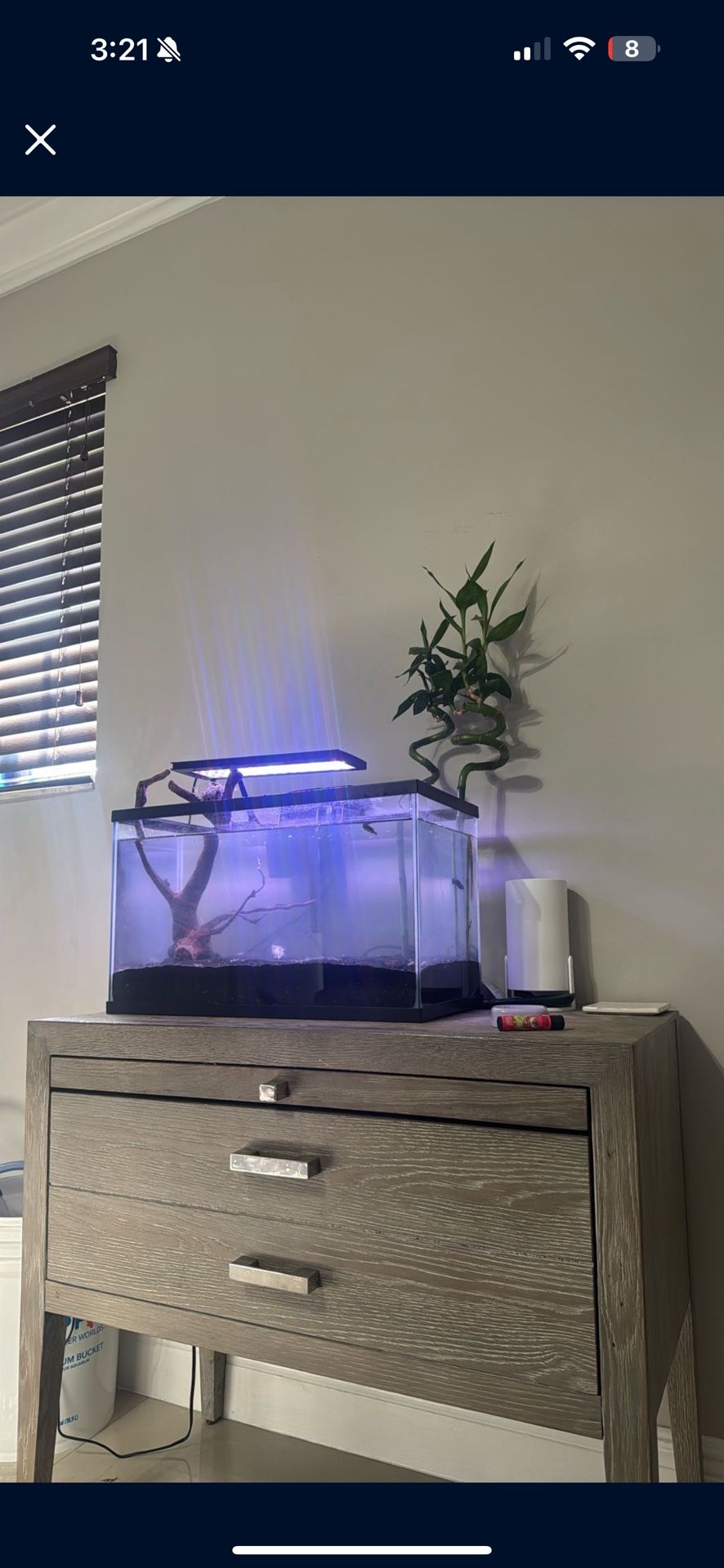 Fish Tank