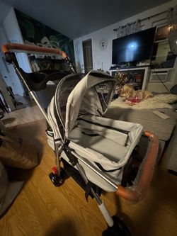 Dog Stroller New