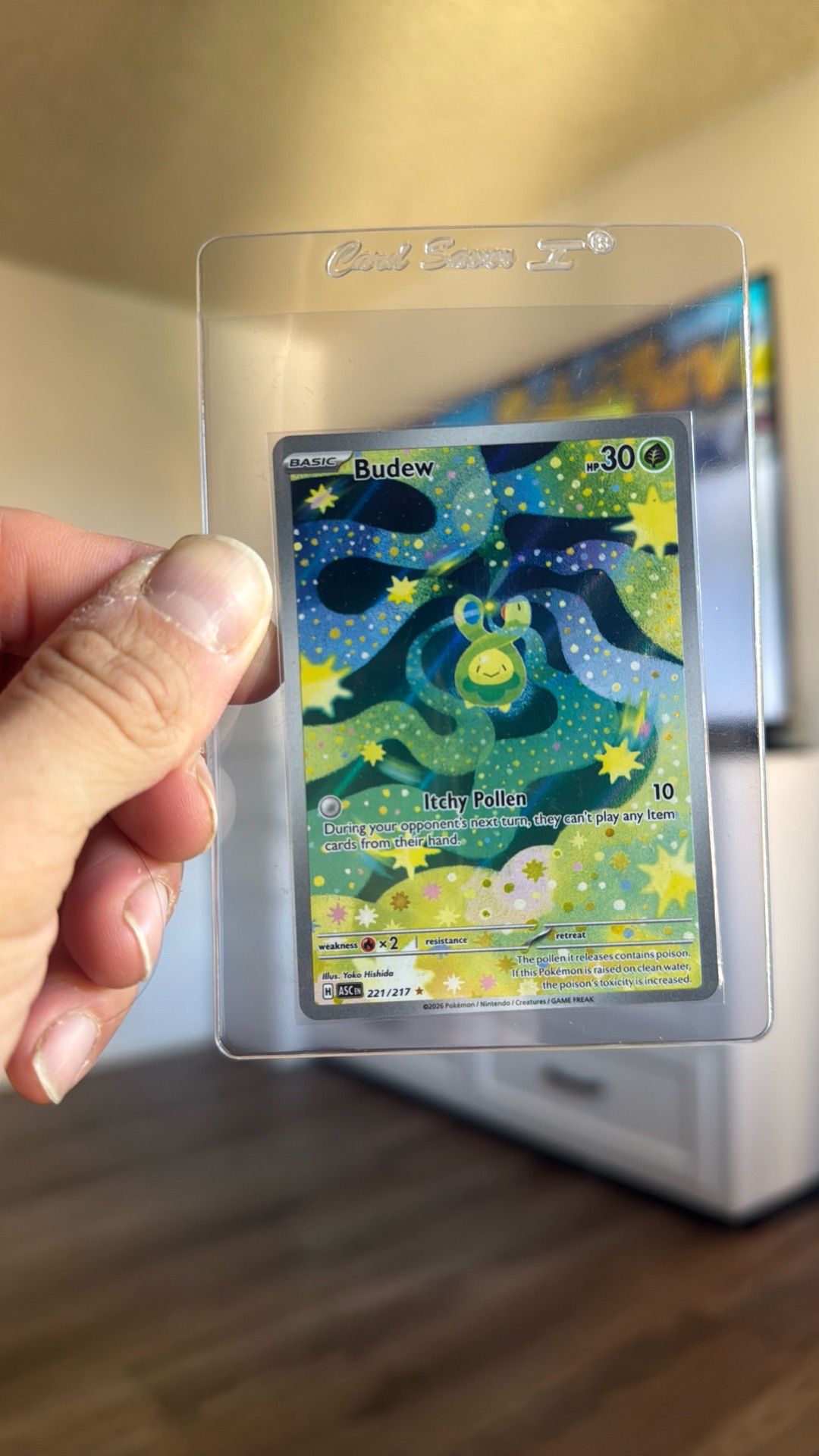 Budew Pokemon Ascended Heroes