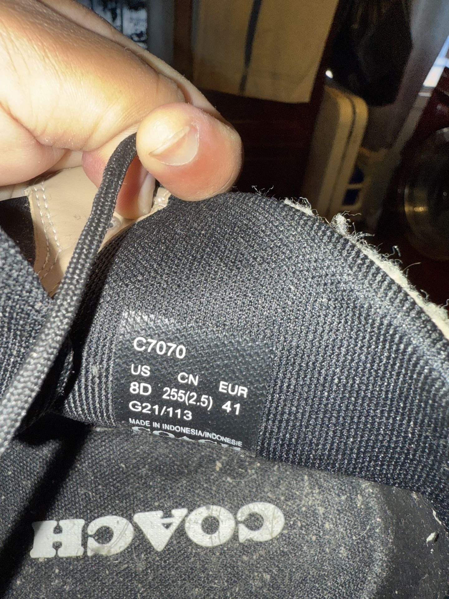 Coach Winter Boots