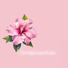 Pretty&affordable bouquets