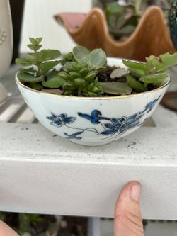 Enchanted Greenery Boutique Vintage Antique Bowl Arrangement