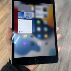 iPad Mini 5 64GB 