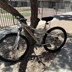 Womens Specialized Mountain Bike 