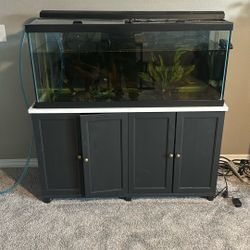 Fish Tank & Stand