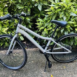 Lark 12” Frame Bicycle Perfect For Young Cyclist