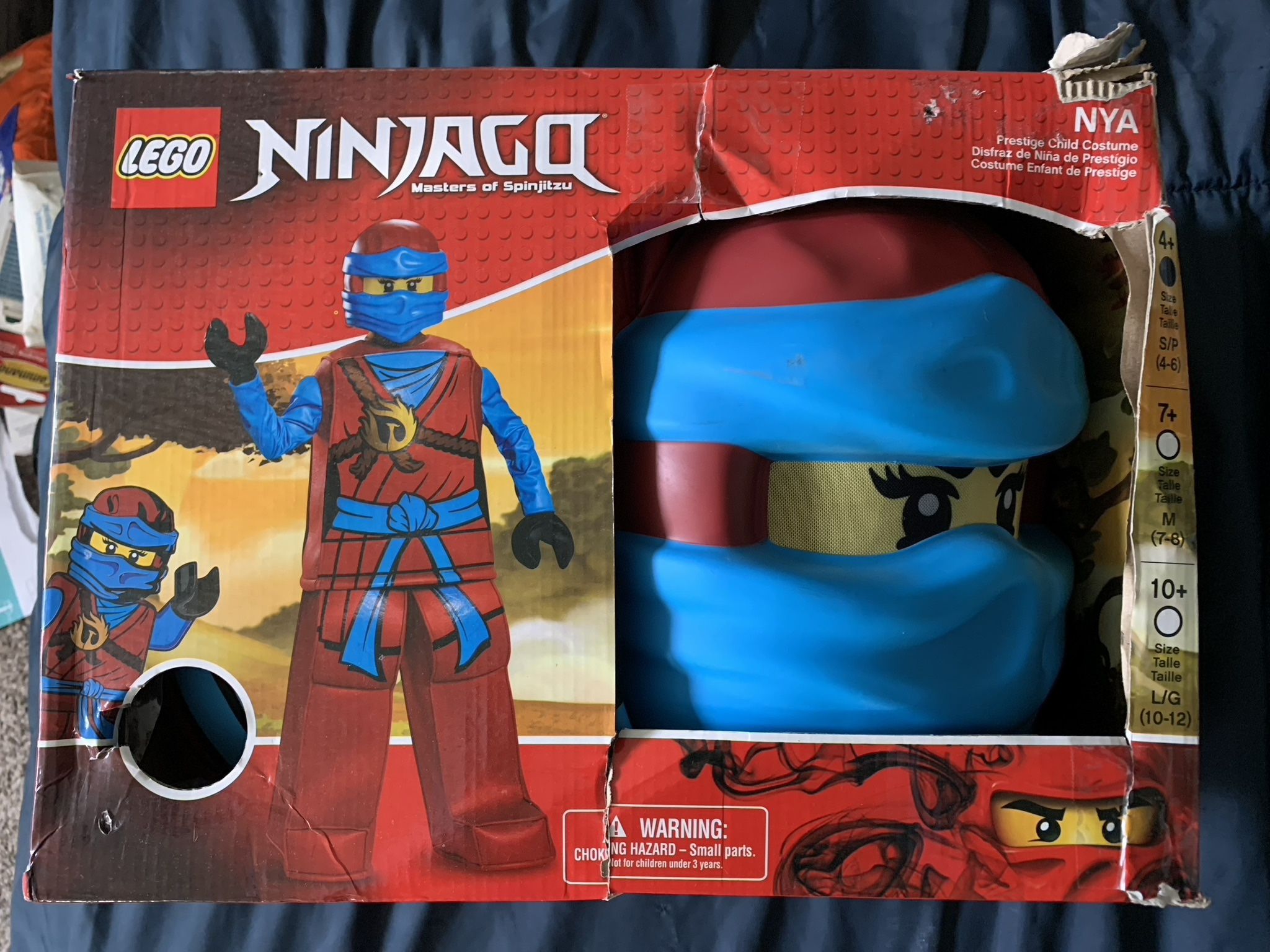 Lego Ninjago Halloween Costume
