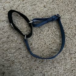 blue martingale collar - medium 