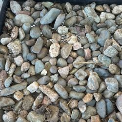 Garden Rocks