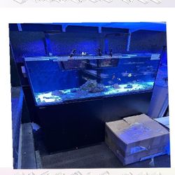 High-End Aquarium Setup - Superior Quality Choice social really