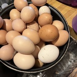 Eggs And Chicks 