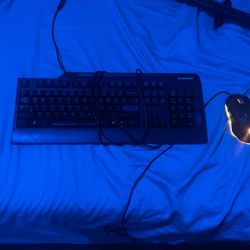Keyboard and mouse