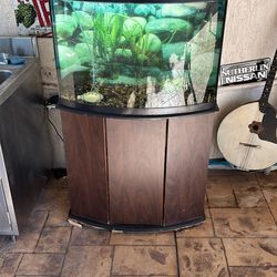 Fish Tank Ready To Go